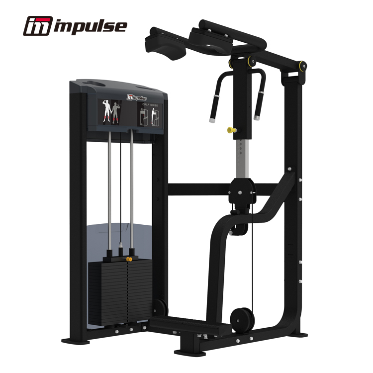 IF9316 カーフレイズ