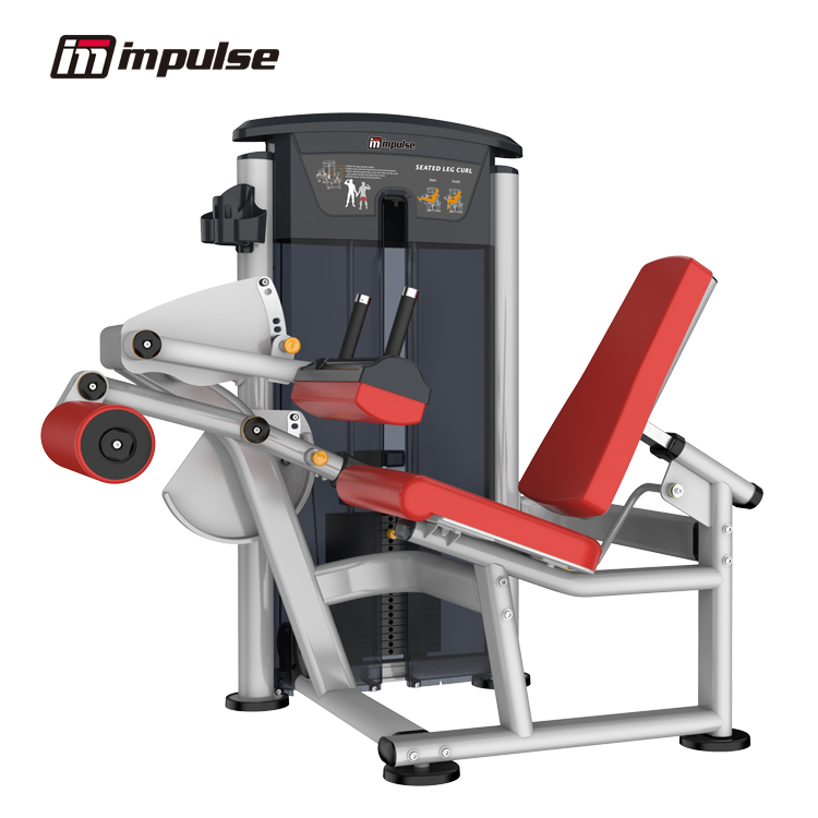 IT9506 レッグカール