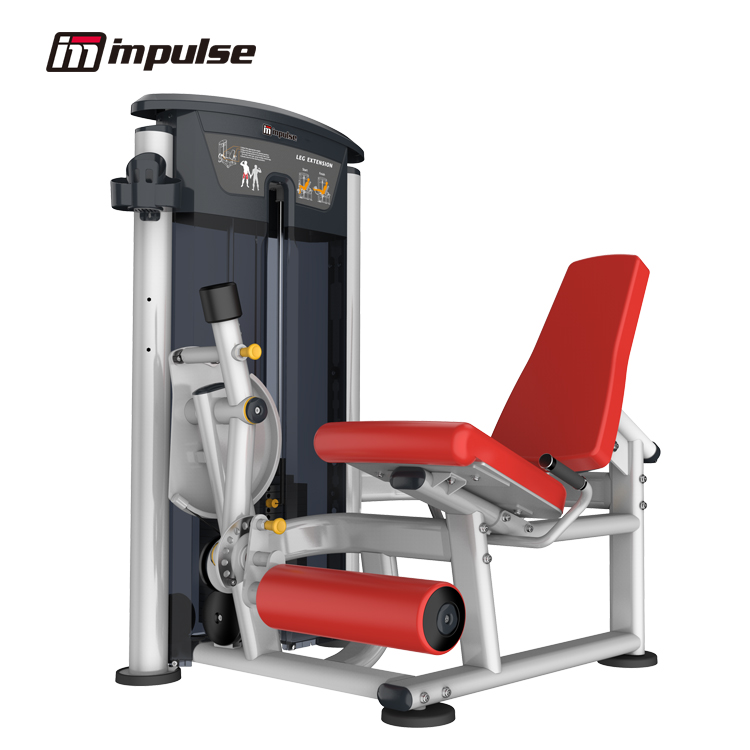 IT9505 レッグエクステンション