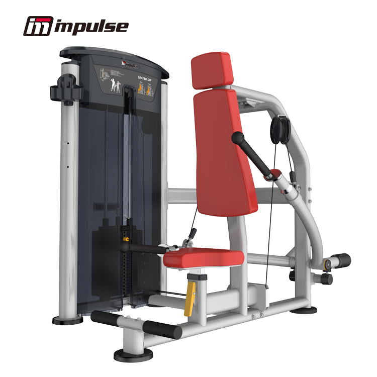 IT9517 シーテッドディップ