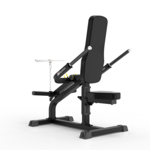 IFP1706 バイセップ/トライセップ