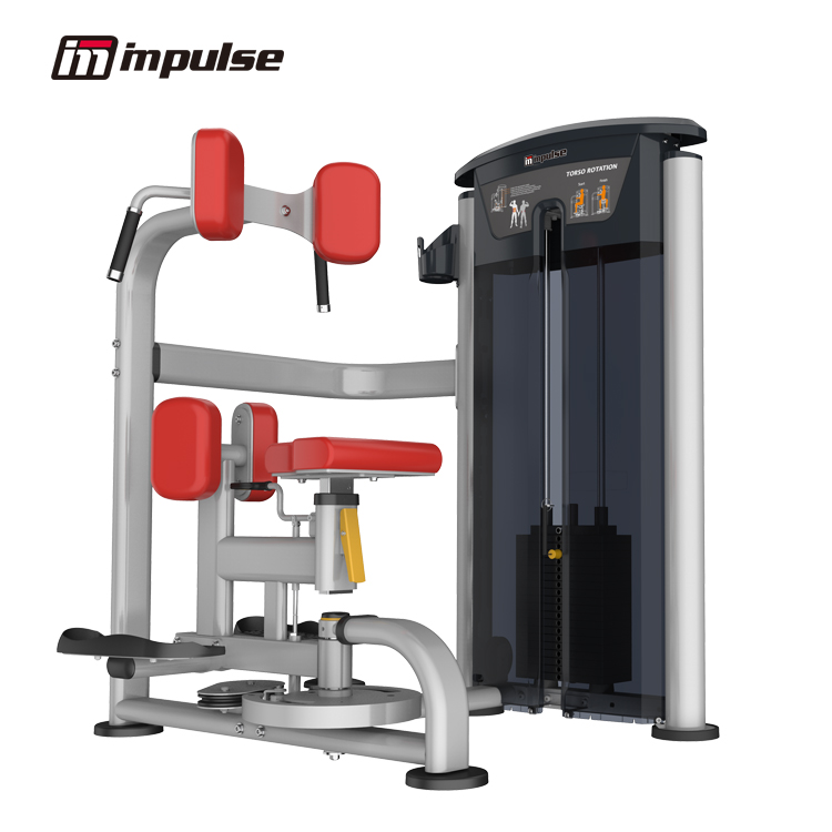 IT9518 トルソローテーション